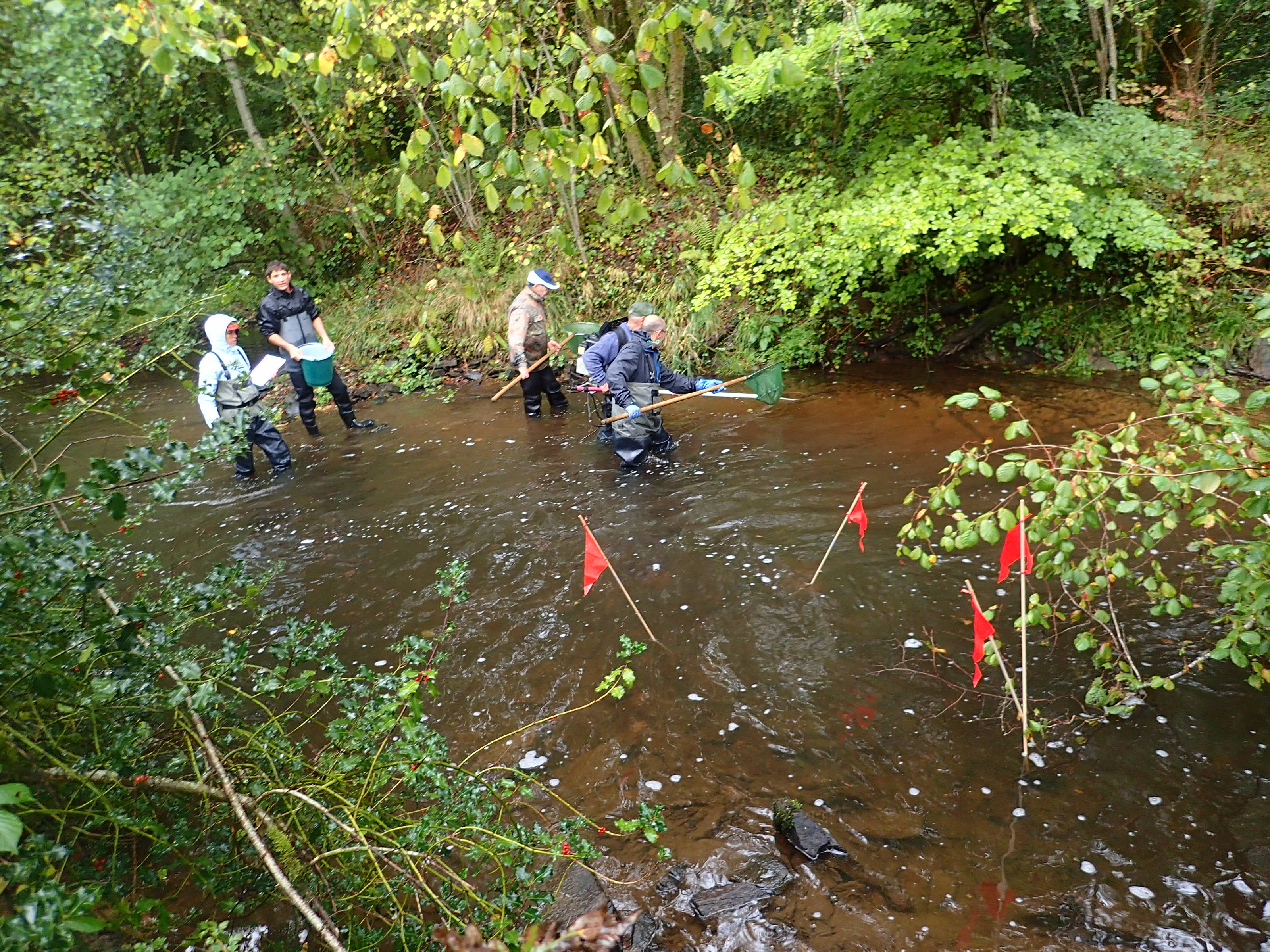 pêche électrique à Laccouchie