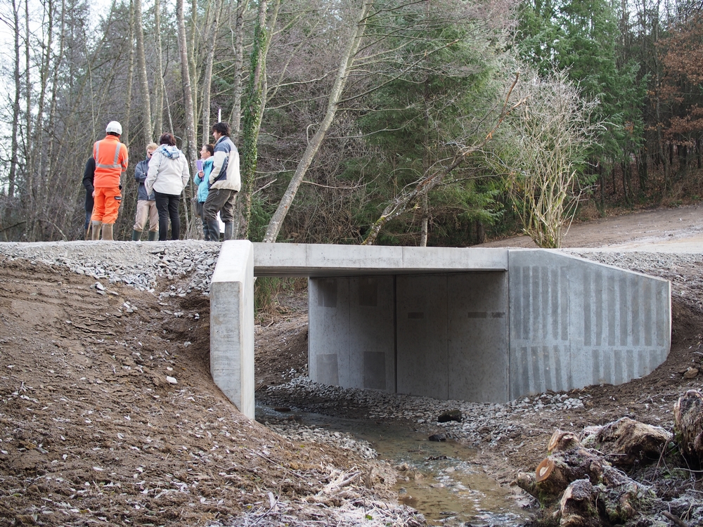 Nouveau pont cadre du chemin forestier de Passérieux