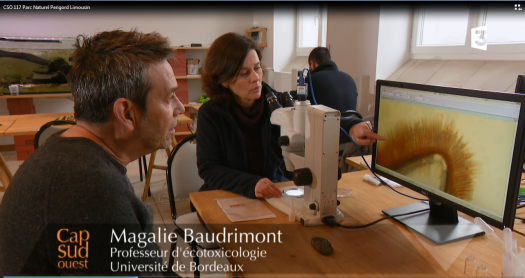 Cap Sud-Ouest Eric Perrin et Magalie Baudrimont